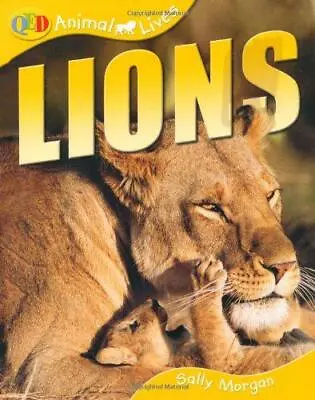 Animal Lives: Lions (QED Animal Lives S.) Sally Morgan Good Condition ISBN 18 • £3.50