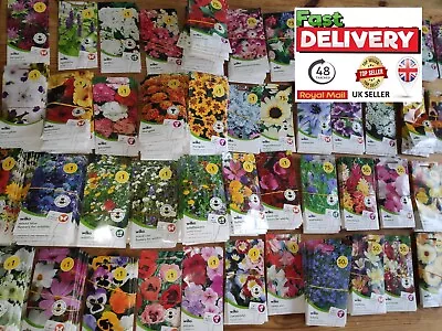 WILKO Flowers & Plants Seeds  BEST Prices UP TO 15% OFF MULTI-BUY PACK • £1