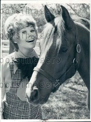 $10 • Buy 1972 Wire Photo Pretty Actress Sue Ane Langdon With Horse