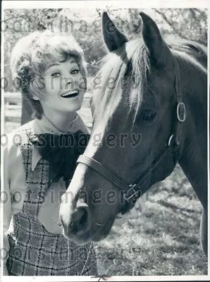 1972 Wire Photo Pretty Actress Sue Ane Langdon With Horse • $15