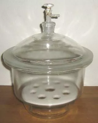$234.90 • Buy Glass Desiccator Vacuum Jar Lab Dessicator Dry Dryer Chamber 12  300 Mm New