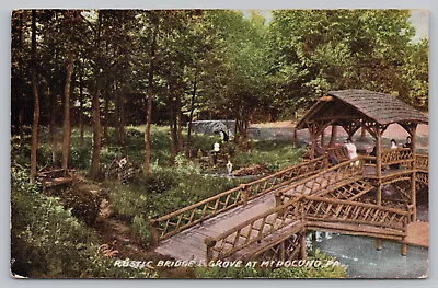 Mt Pocono Pa Pennsylvania - Rustic Bridge & Grove - Postcard - Circa 1908 • $6.95