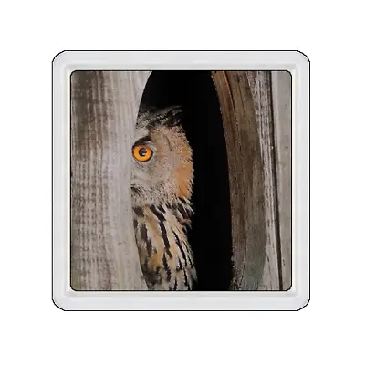 £3.99 • Buy Owl Peeking Coaster Cup Mat Acrylic Novelty Gift