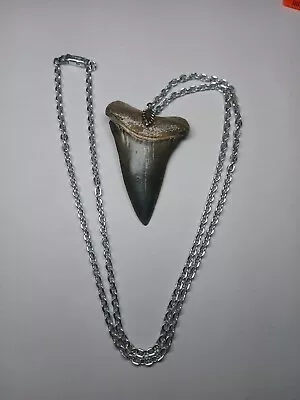 MEGALODON Shark TOOTH Necklace 2 1/4  Fossil Teeth Jaw Teeth Pendant MEGLADON • $25