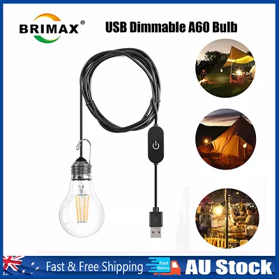 $11.99 • Buy A60 LED Pull Cord Light Bulb Hanging Lantern USB Outdoor Camping Lamp With Hook
