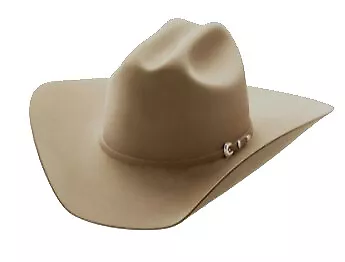 7X Hat PecanRodeo King • $560