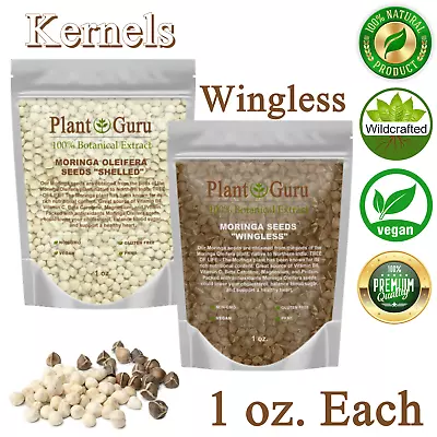 Moringa Oleifera Seeds 1 Oz. Each WINGLESS & SHELLED Fresh Semillas De Moringa • $8.10