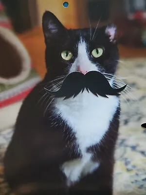 Mustache (Sticker) For Your (calendar) Tuxedo Cat! • $4.99