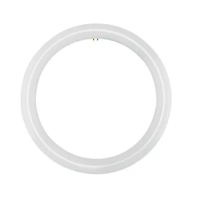 12 Inch T9 Circline LED Relamp 32W Fluorescent Bulb FC12T9 FCL32 • $24.99