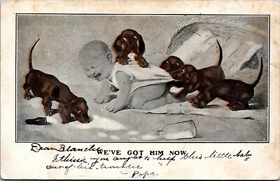 Dachshund Dog Postcard Puppy Crying Baby We've Got Him Now 1905 QC • £8.26