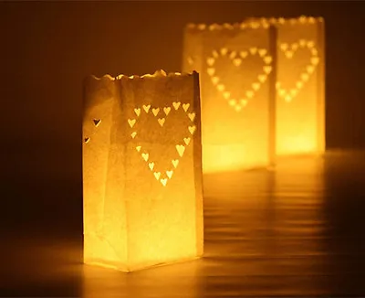 £3.99 • Buy Big Heart Luminary Paper Candle Lantern Bags Wedding Party Garden BBQ Dating(10)