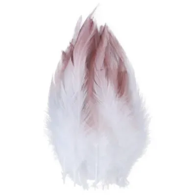 Bulk 50pcs Blush Pink Dip Ombre Rooster Feathers 9-15cm DIY Craft Dream Catcher • $9.95