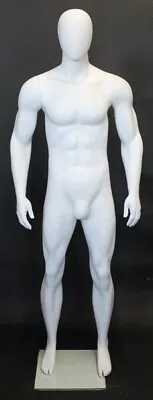 New 6 Ft 2 In H Male Egg Head Mannequin Muscular Body Torso Matte White SFM52EWT • $339.95