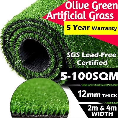 £211.60 • Buy Artificial Grass Oasis 12mm Low Cost Astro Mat Roll Realistic Natural Green Lawn