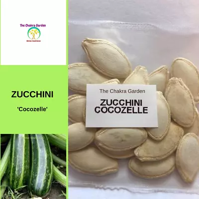 Zucchini 'Cocozelle'-EDIBLES-Heart Chakra-20 Seeds • $4.44