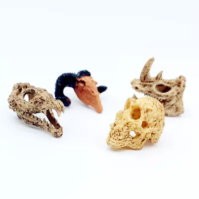 Dollhouse Miniature Skull Skeleton Heads Model Doll's Room Wall Decor Ornaments • $6.38