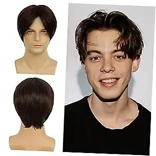  Short Men Wigs Layered Straight Middle Part Fluffy Hair For Male Guy Brown • $16.82