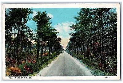 1934 Cape Cod Pines View On Road Across Cape Cod Massachusetts MA Sky Postcard • $14.98