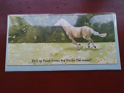 Horse Birthday Card Horses Funny Card Greetings Card Hooves Live For The Moment • £0.99