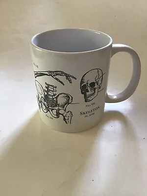 Human Anatomy Large Mug Cup Skeleton Bones Drawing White With Black Design • $15.96