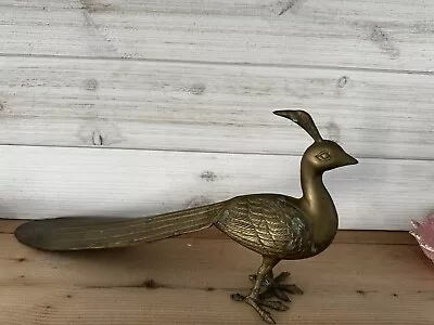 Vintage Brass/Metal  Peacock Bird 18” • $35