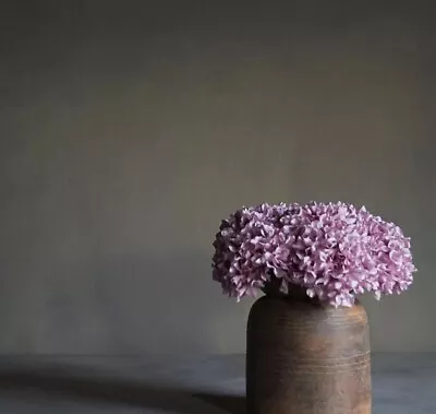 Abigail Ahern Hydrangea Faux NEW • £9.50