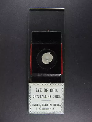 Antique Microscope Slide By Smith Beck & Beck.  Eye Of Cod. Crystalline Lens . • $6.22