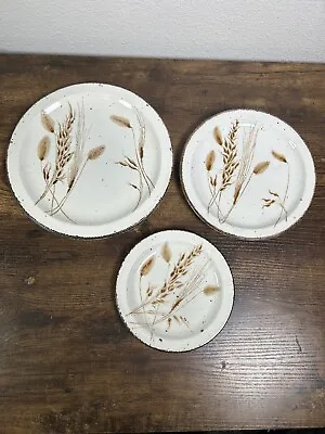 Lot Of 3 Vintage Stonehenge Midwinter Wild Oats Plates Lot - 10.5”  8.75” 7” • $29.99