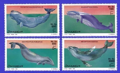 Whale Stamps Grey Humpback Sperm Byrde's Marine Life Mammal Somalia 1999 New Mnh • $2.25