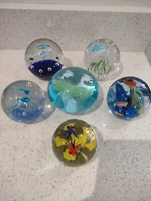 5 X Marine Paperweights And 1x Insect Paperweight • £14.99