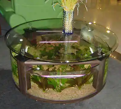 WARRANTY INCLUDED! 55 Gallon GLASS Round Circle Table Aquarium Fish Tank WALNUT • $2400