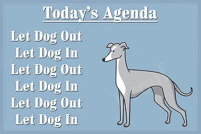 £5.95 • Buy Greyhound Whippet Lurcher Dog Funny Fridge Magnet Birthday Christmas Gift