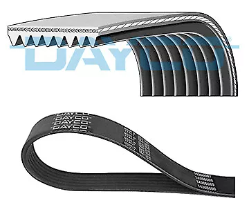 Dayco 8pk1295 Wedge Rib Strap For Cadillac • £22.27