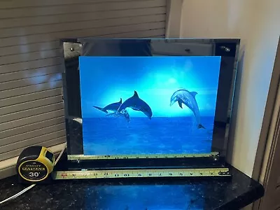 Wall Art VTG Light Box Moving Picture Motion Nature Sound Dolphin Mirror • $78