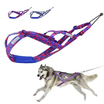 Sledding Dog Weight Pulling Harness Sport Reflective X-Back Adjustable Canicross • £27.59