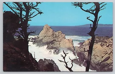 Carmel California Pinnacle Point Lobos State Park Pacific Ocean Vintage Postcard • $6.39