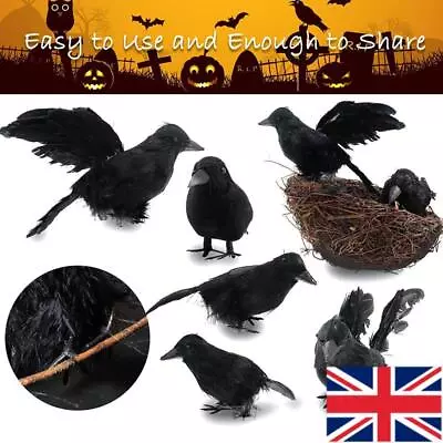 6PCS Black Lifesize Raven Movie Prop Fake Crow Halloween Hunting Decor Birds UK • £8.22