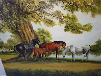 Oil On Canvas Painting Equine Horses.Scene 30  X 16  Signed Large Unframed • £50