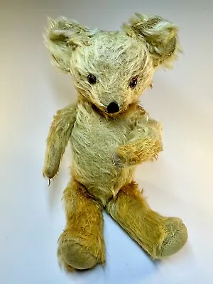 Vintage 1930s Gold Plush Teddy Bear With Glass Eyes • $165