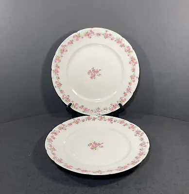 $29.99 • Buy CH Field Haviland 2 Luncheon Plates The Fontainbleau Pink Roses Limoges READ