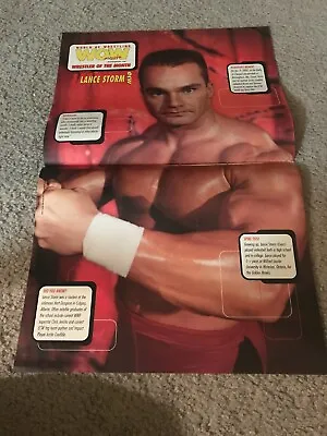 Vintage LANCE STORM ECW Centerfold Poster WCW WWF 2000 RARE • $6.99