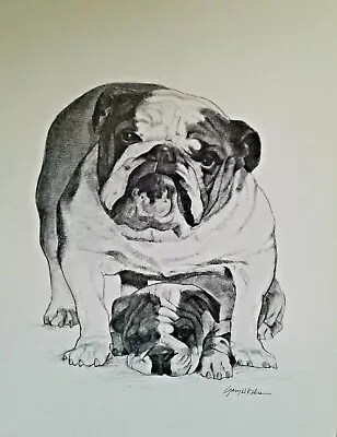 Bull Dog And Puppy Print Charcoal Black And White  Drawing Enjoy Yours Today! • £9.72