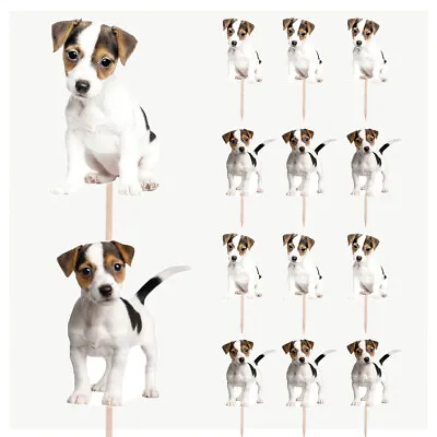 Jack Russell Puppies Cupcake & Party Food Toppers Decorations Picks 14 Pack • £5.99