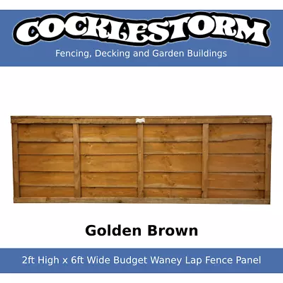 2ft High X 6ft Wide Golden Brown Fence Panel - Free Delivery Within 60 Miles • £20