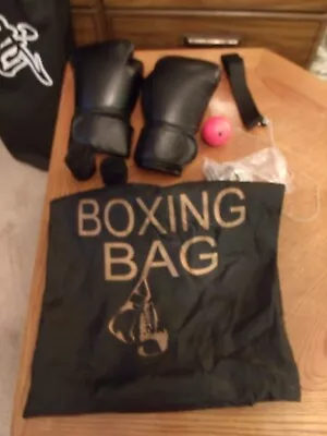 Boxing MMA Training Equipment • $45