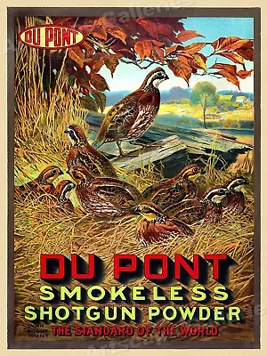 1913 Quail Hunting Vintage Style Poster DuPont Shotgun Powder - 20x28 • $17.95