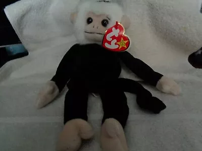  Mooch  TY Beanie Babies Collection - Birthdate 1998 • $1.99