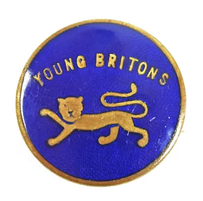 £10 • Buy Vintage Old Young Britons Junior Conservative Party Members Enamel Badge