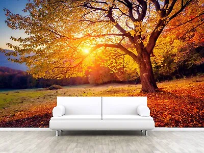 Tree Leaves Plants Forest Autumn Photos Wallpaper Mural Home Poster Decoration • £14.99