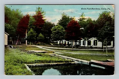 Corry PA State Fish Hatchery Pennsylvania C1916 Vintage Postcard • $7.99